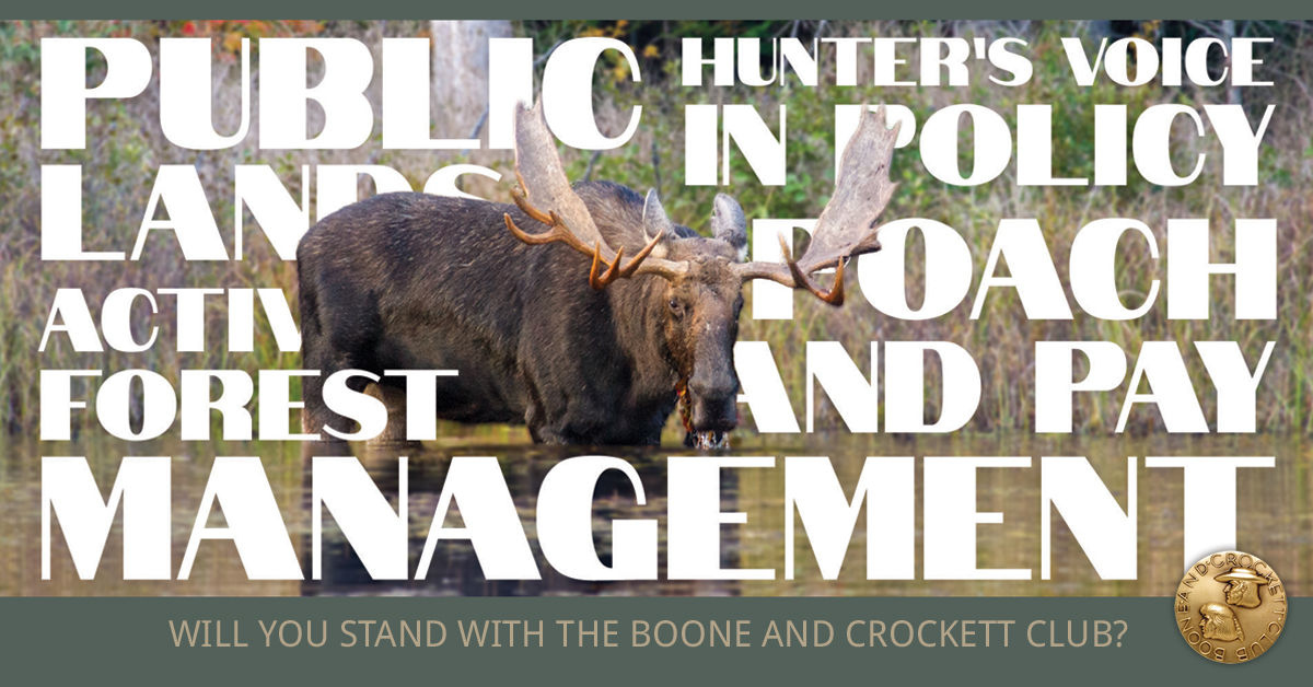Boone and Crockett Club Initiatives