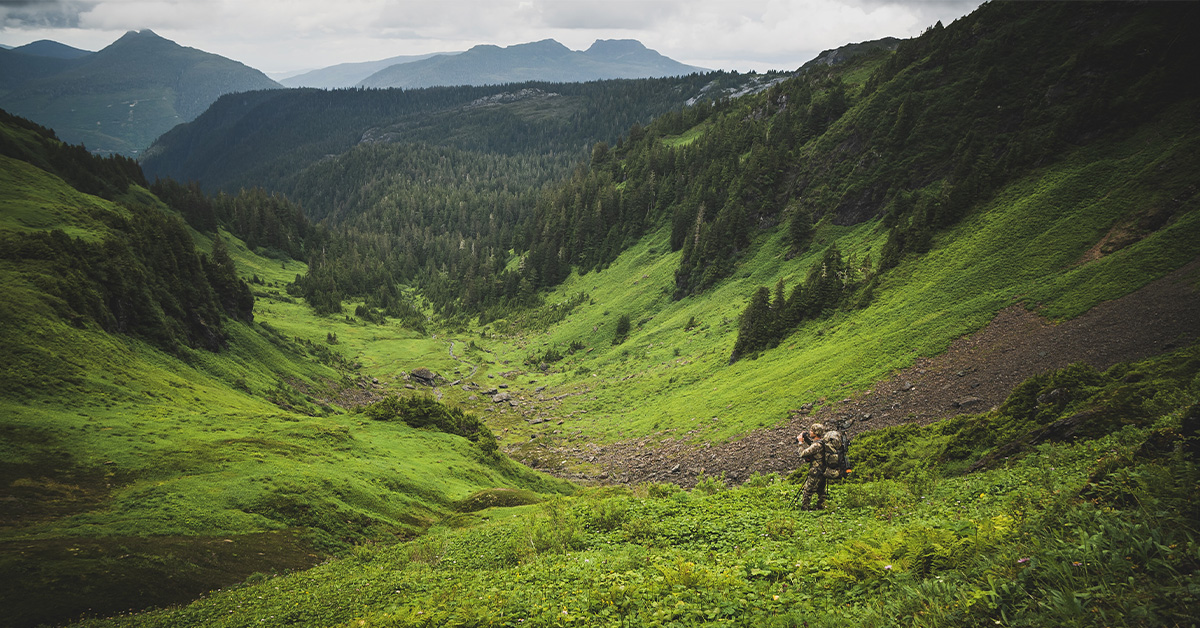 Glassing big blacktail country on Prince of Wales Island 