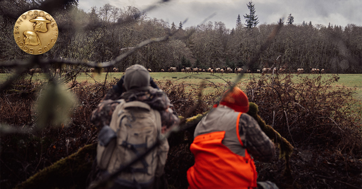 hunters after elk