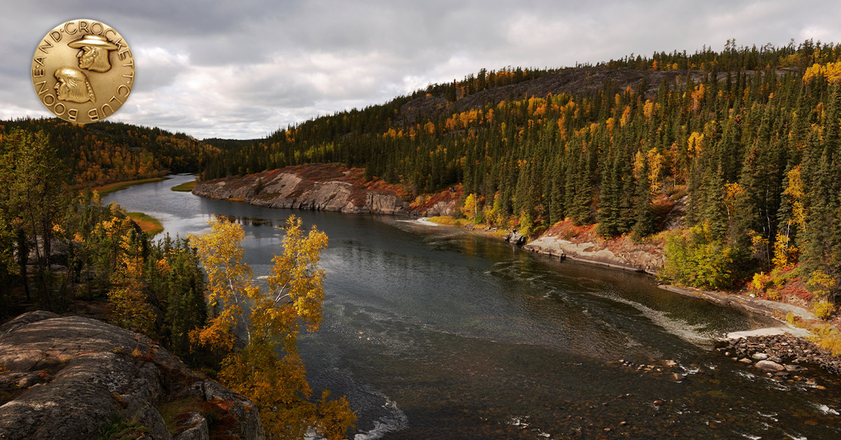 mountain river scene