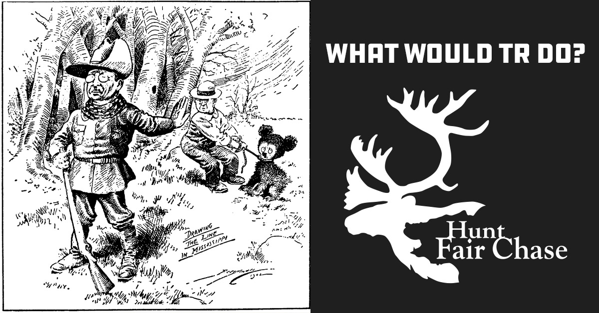 Theodore Roosevelt cartoon