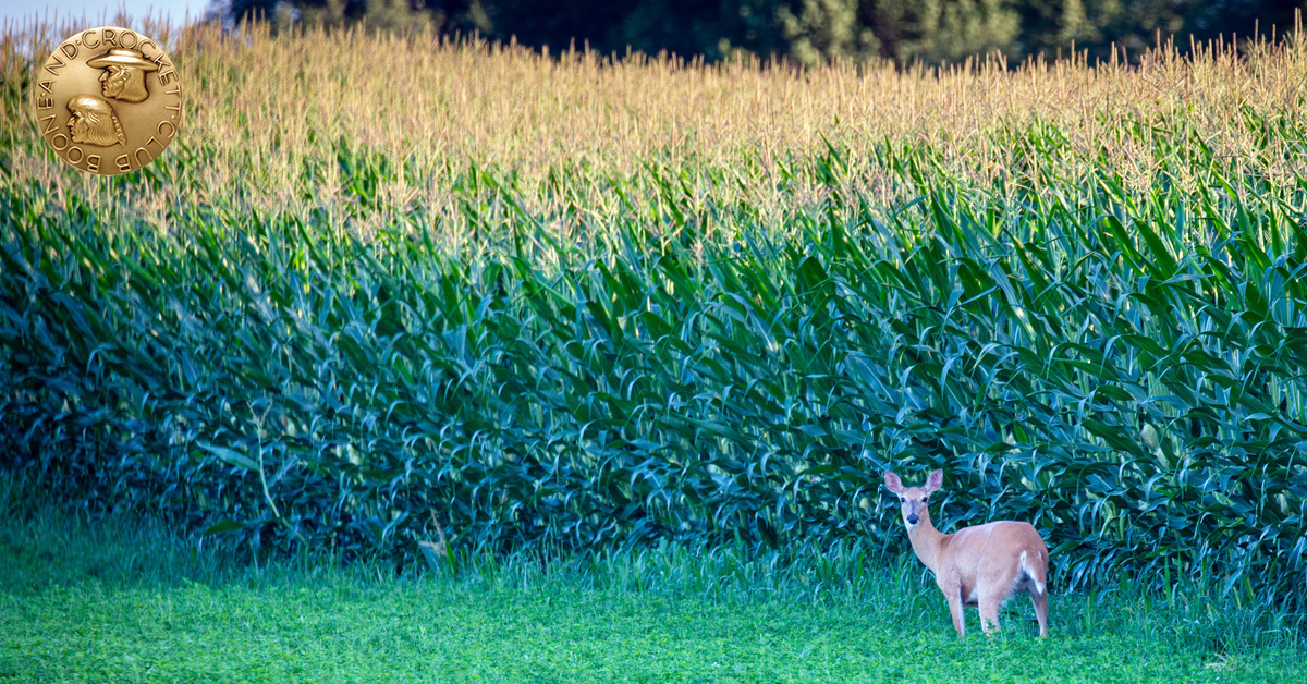 House Agriculture Committee 