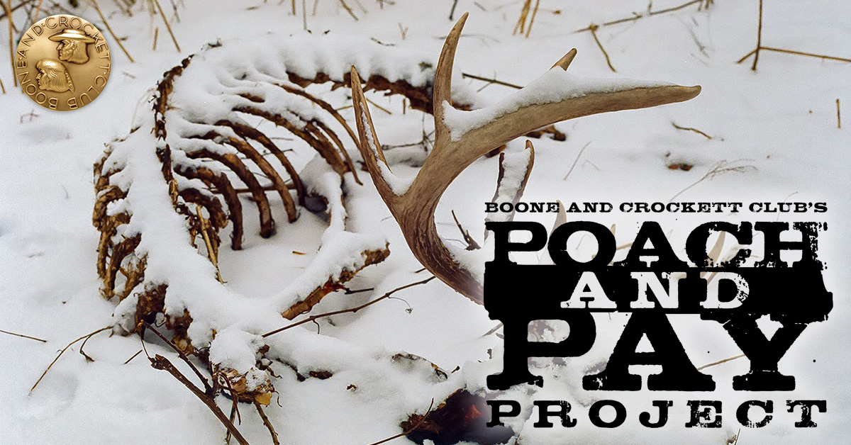 Poach and Pay Project