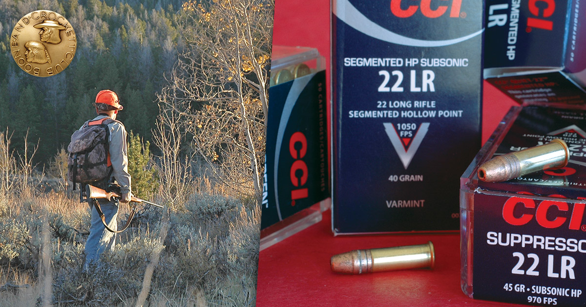 22 long rifle ammo and hunter