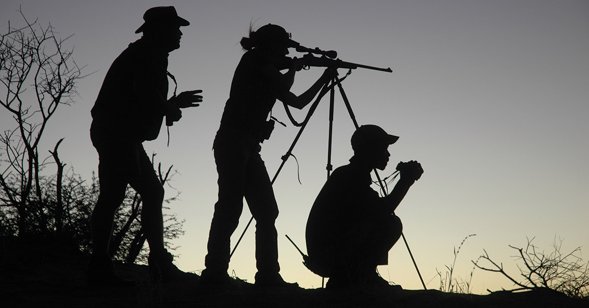 safari hunt silhouettes