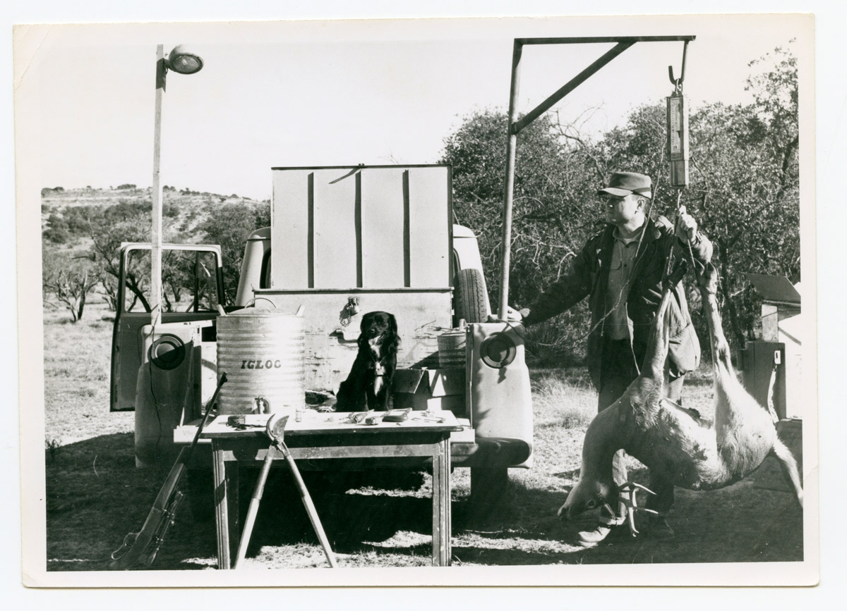 Jack Ward Thomas deer study