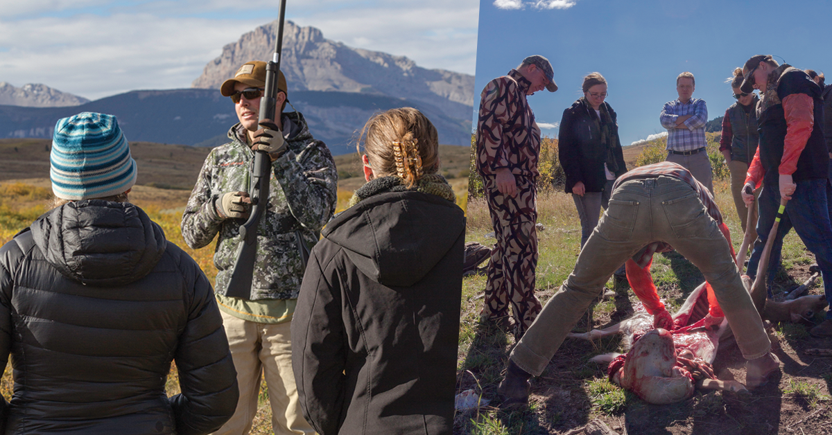 Hunting for Sustainability