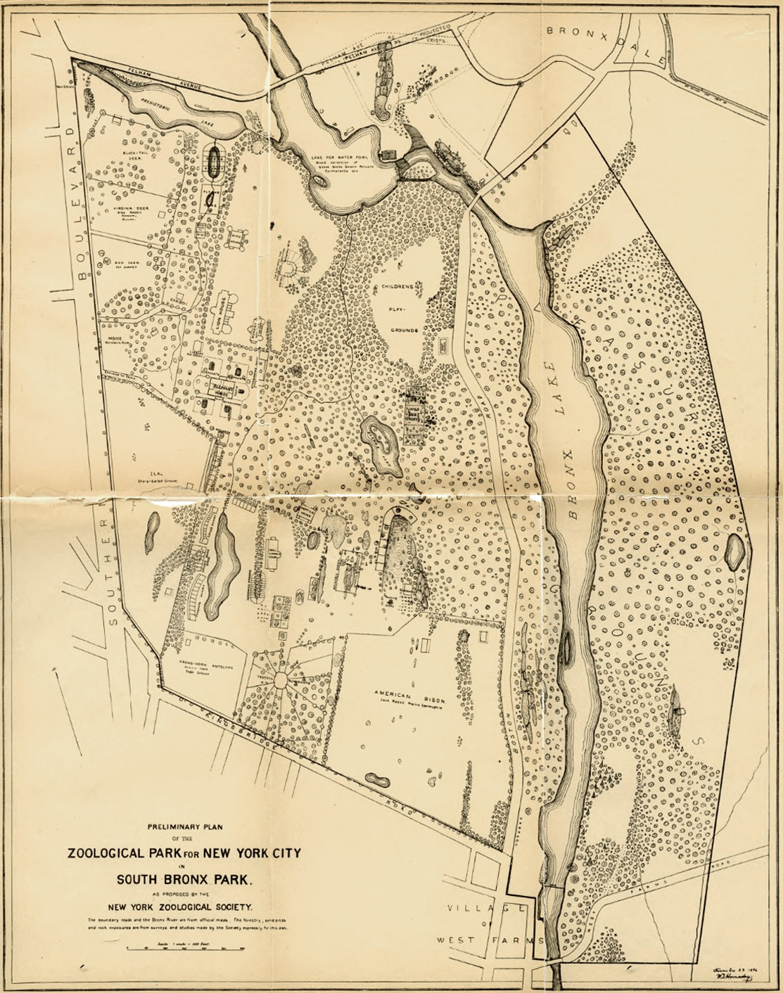 Bronx Zoo - Impact Series