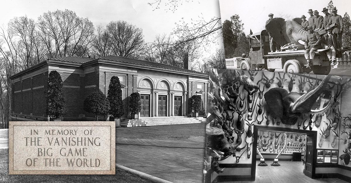 Bronx Zoo - Impact Series