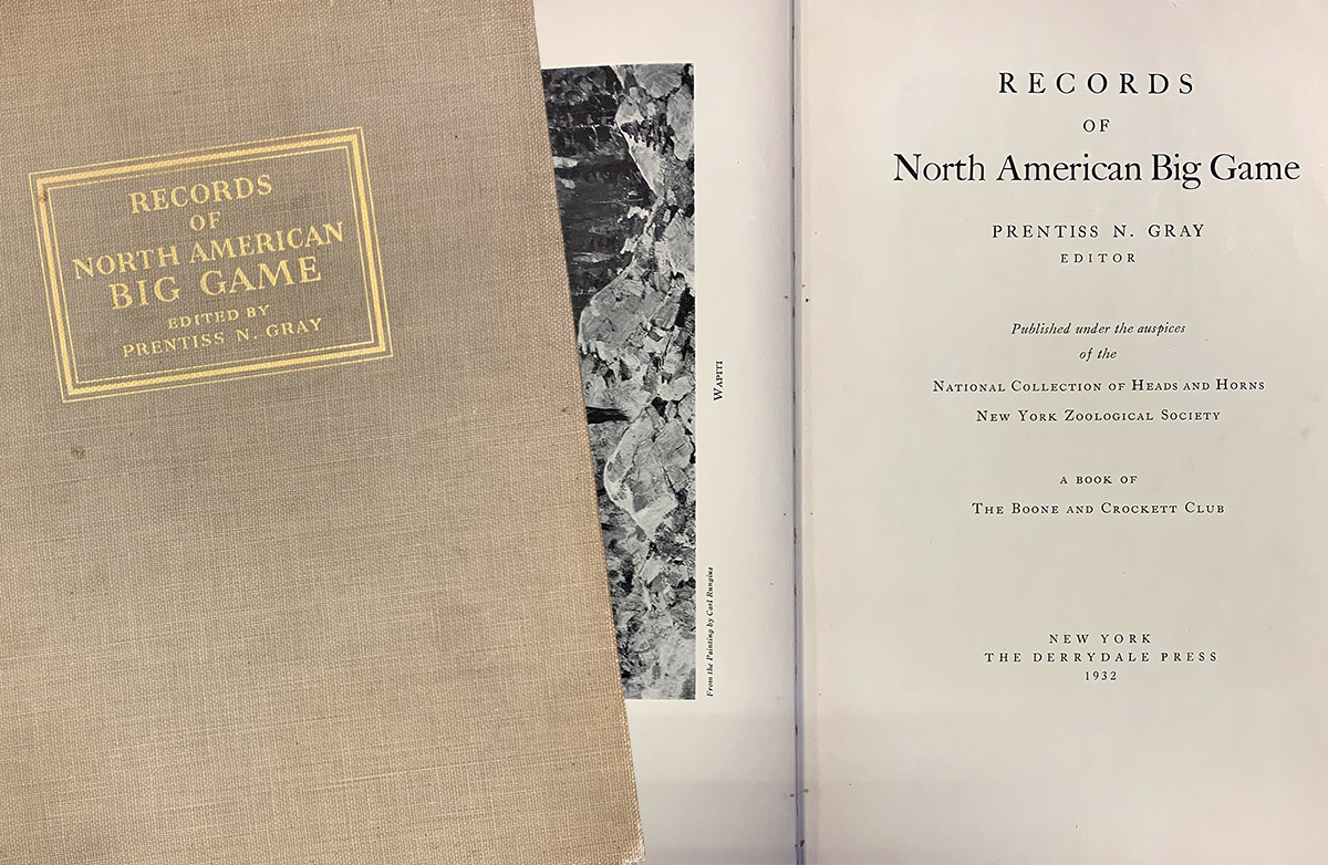 Bronx Zoo - Impact Series