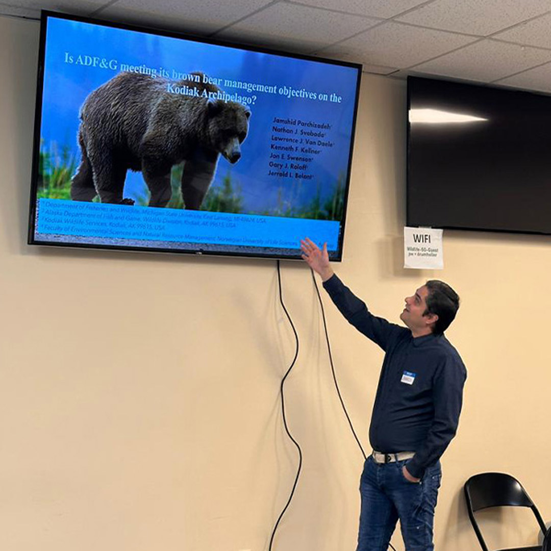 Jasmshid bear presentation