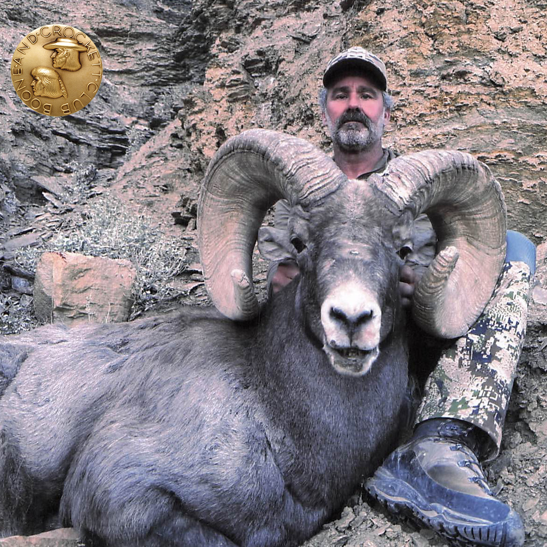 Hardy Bighorn