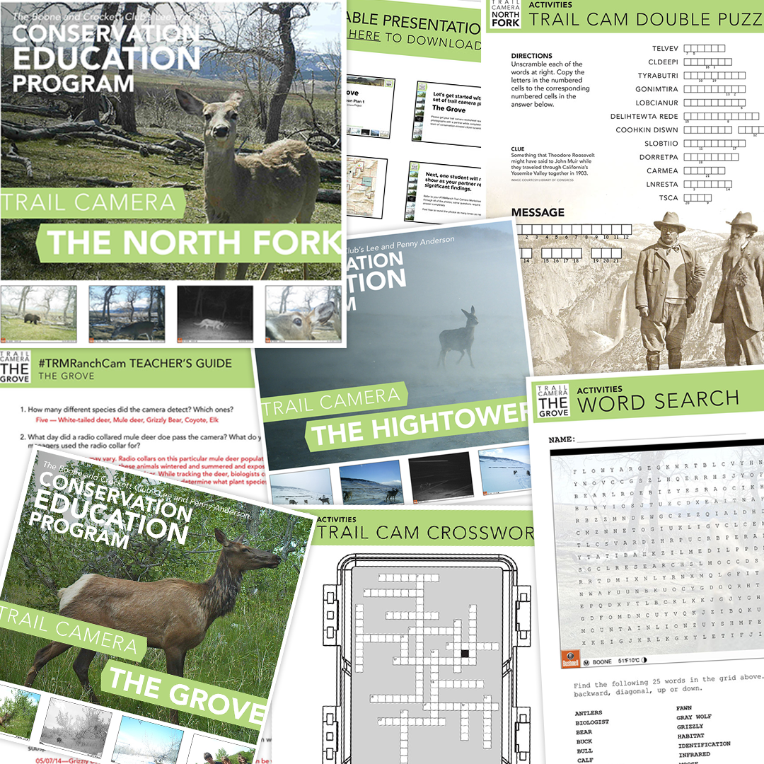 Virtual Lesson Plan