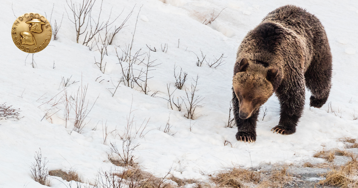Endangered Species Act Position Statement