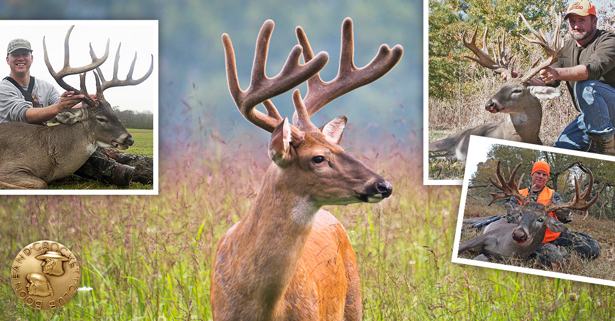 Tennessee State Records