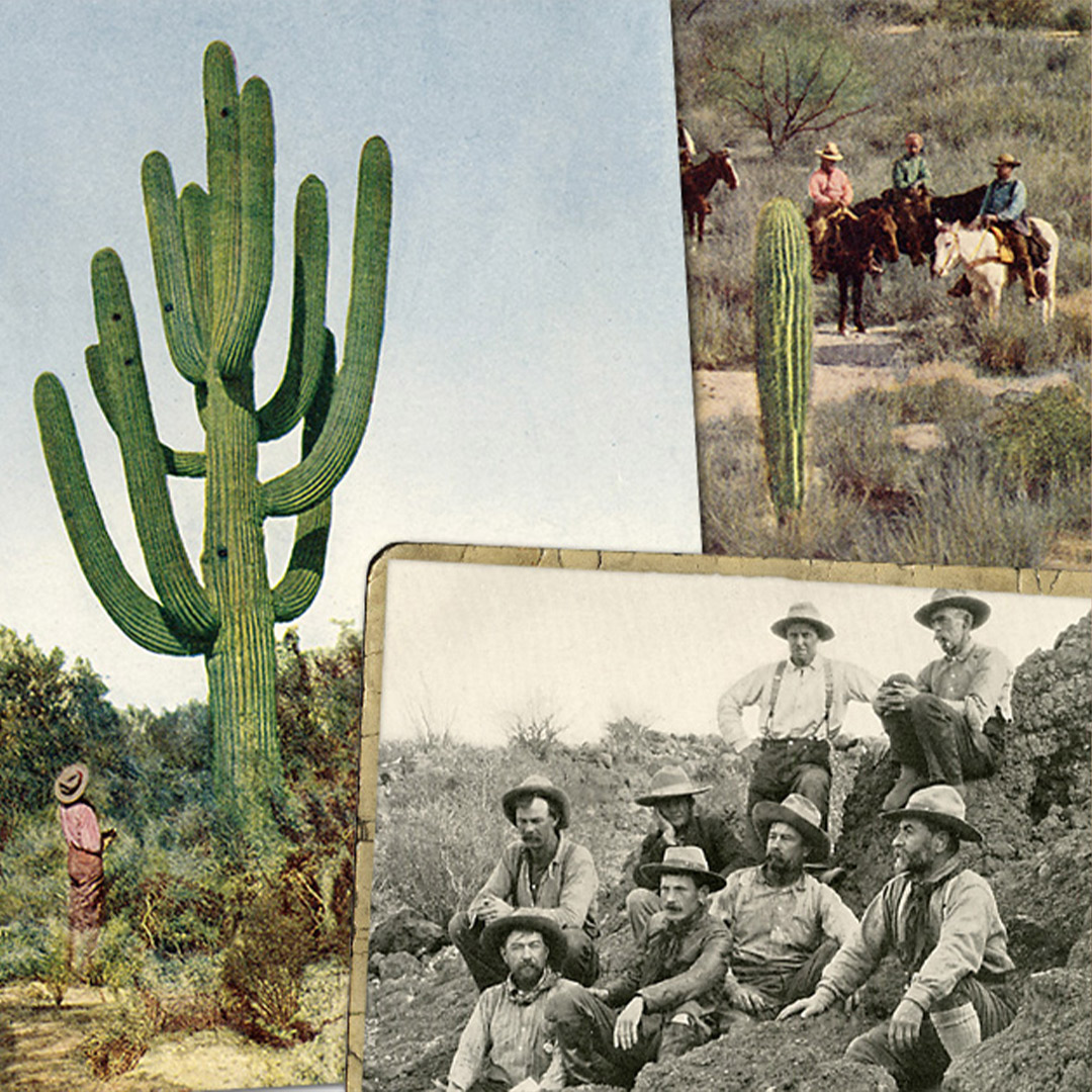 old western photo collage
