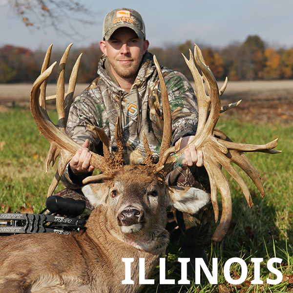 Whitetail Illinois