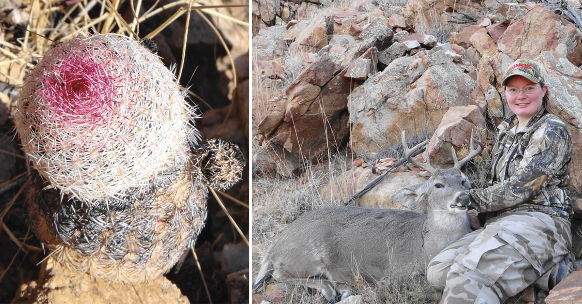 DIY Arizona Coues Deer