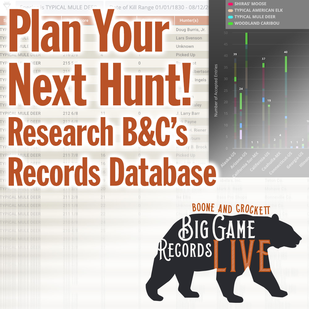 big game records live logo