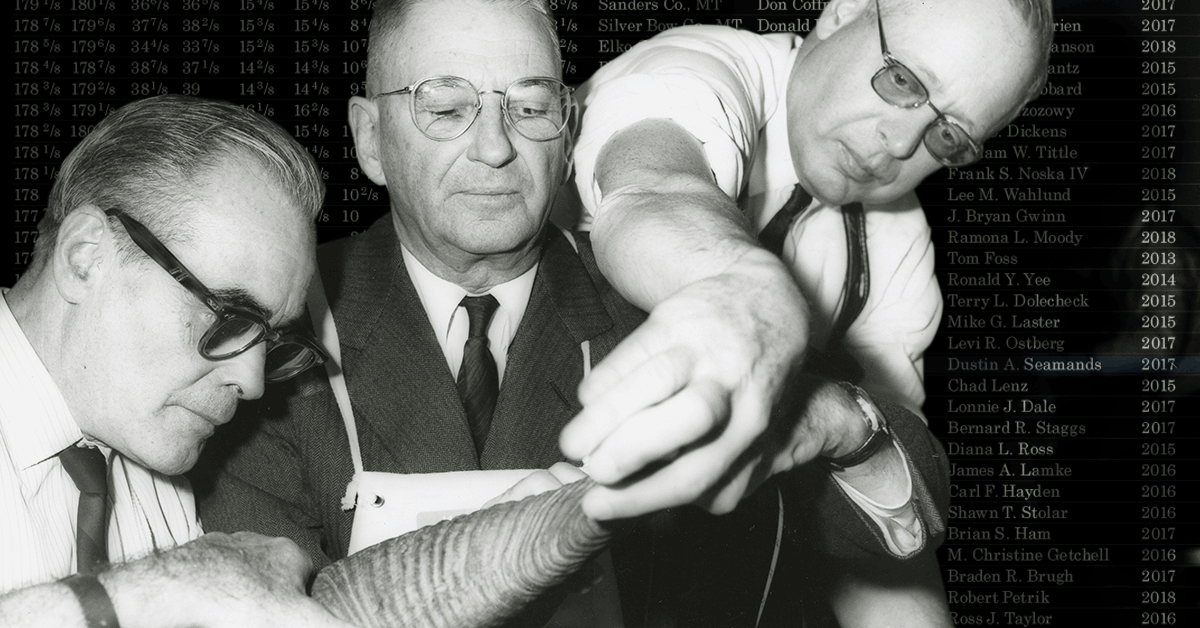 vintage photo of official measurers scoring a sheep