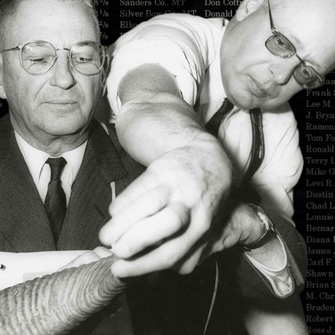 vintage photo of sheep measuring