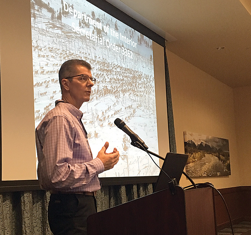 wildlife presentation