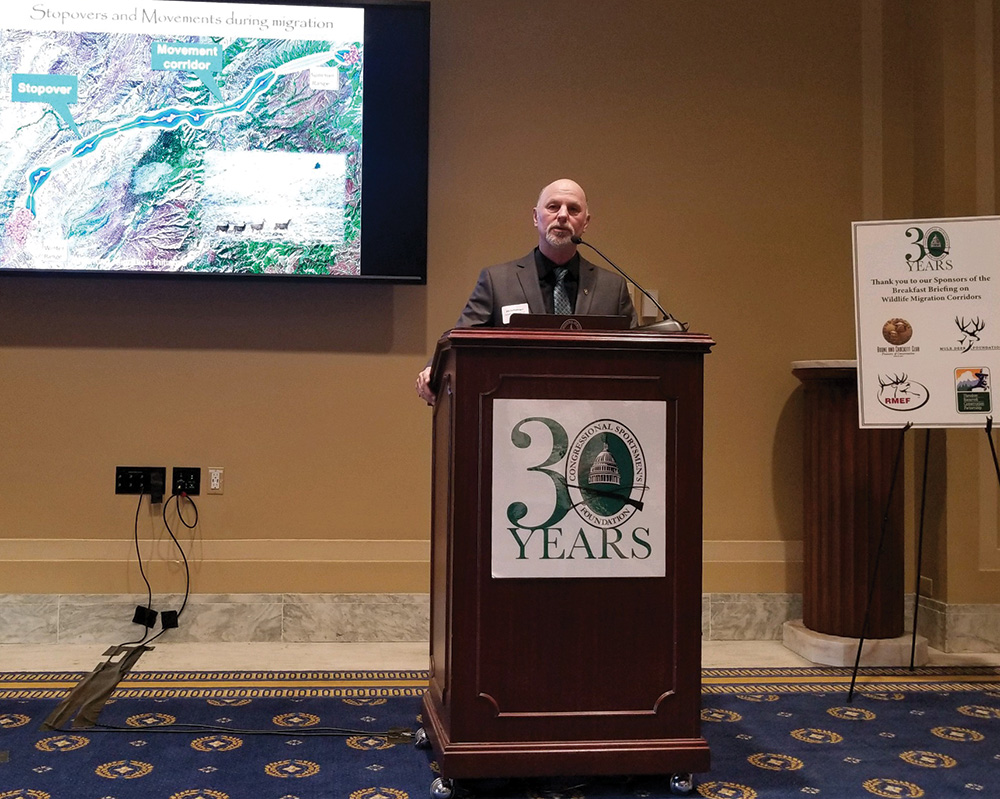 wildlife presentation