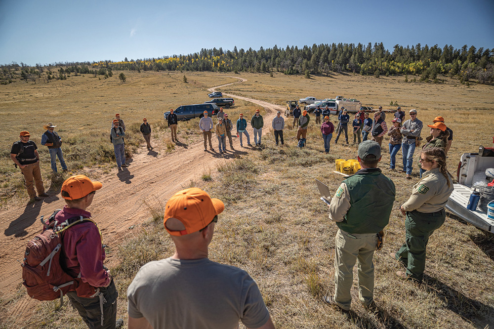 wildlife presentation
