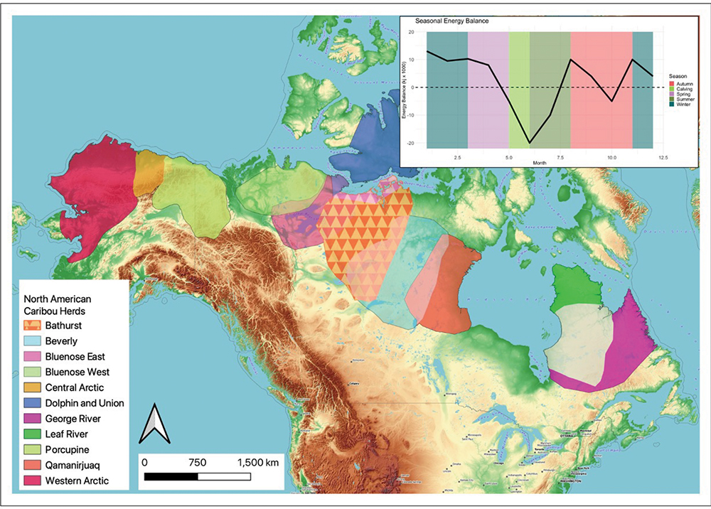 caribou map