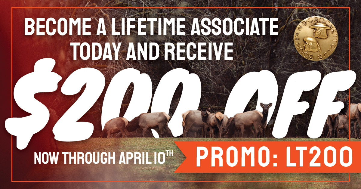 Lifetime $200 off Promo