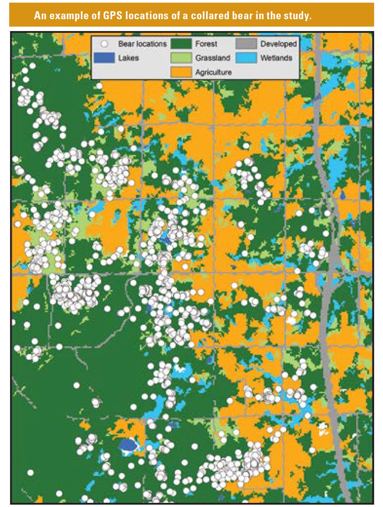 Michigan black bear map