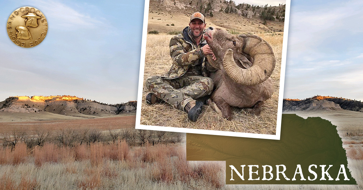NE state record bighorn