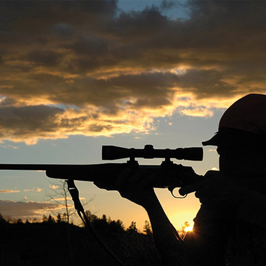 hunter silhouette