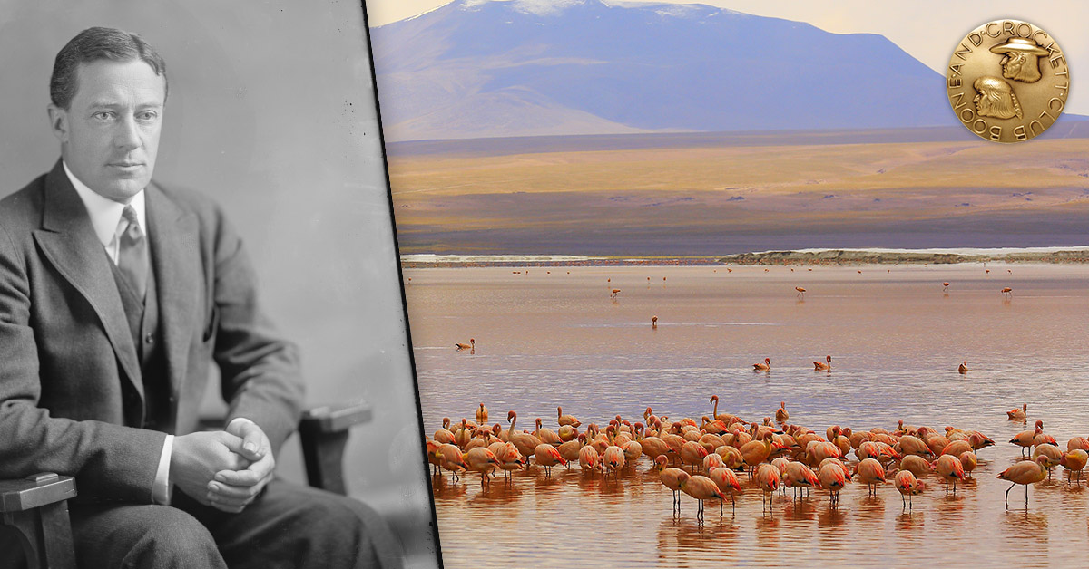 Member Spotlight Walcott