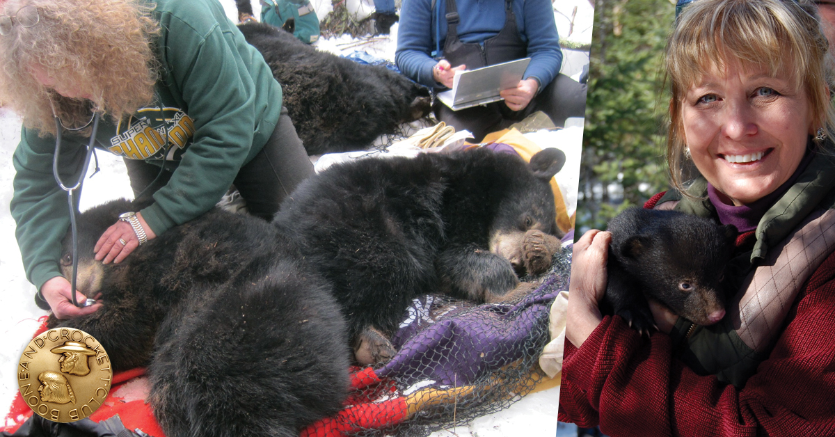 UWSP working on black bears