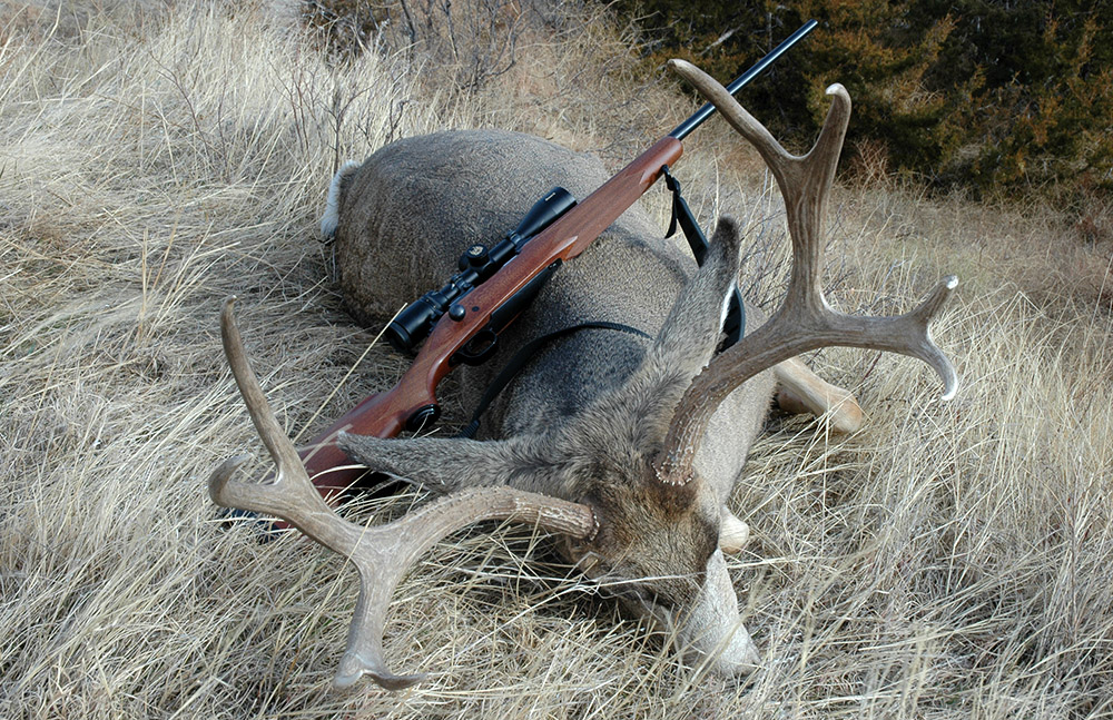 270 hunting rifle and mule deer