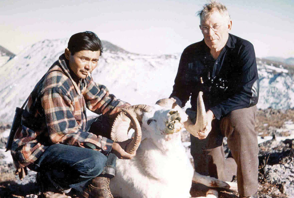 two hunters with dall's sheep