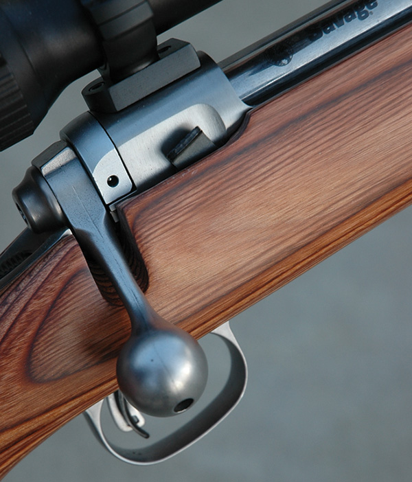 hunting rifle close up