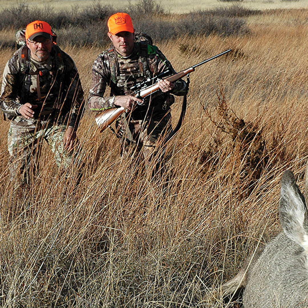 hunters with mule deer