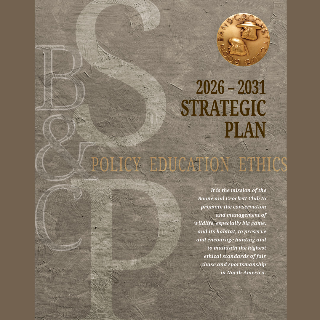 2026 Strategic Plan