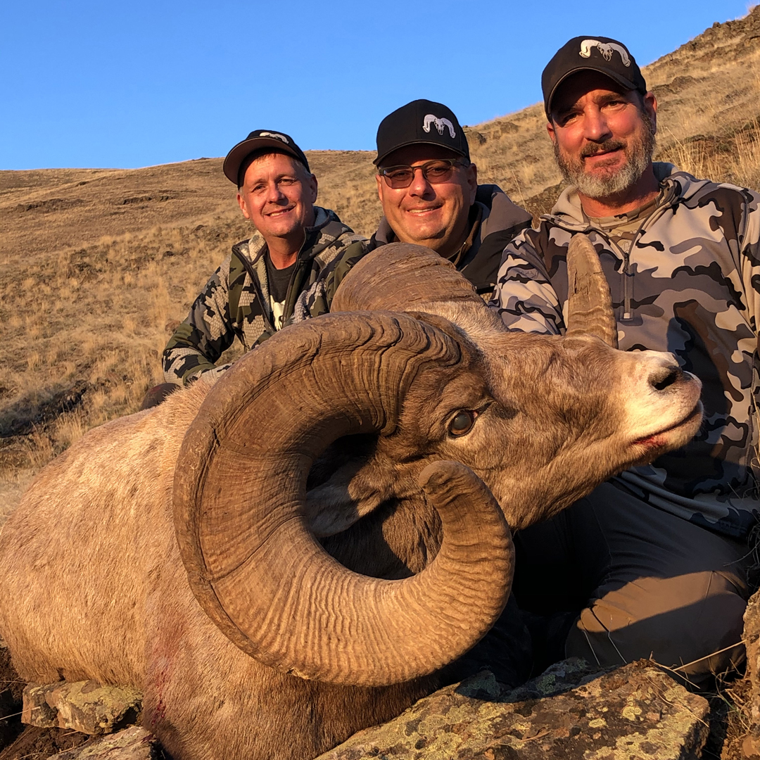 Gary Guerrieri and his bighorn sheep