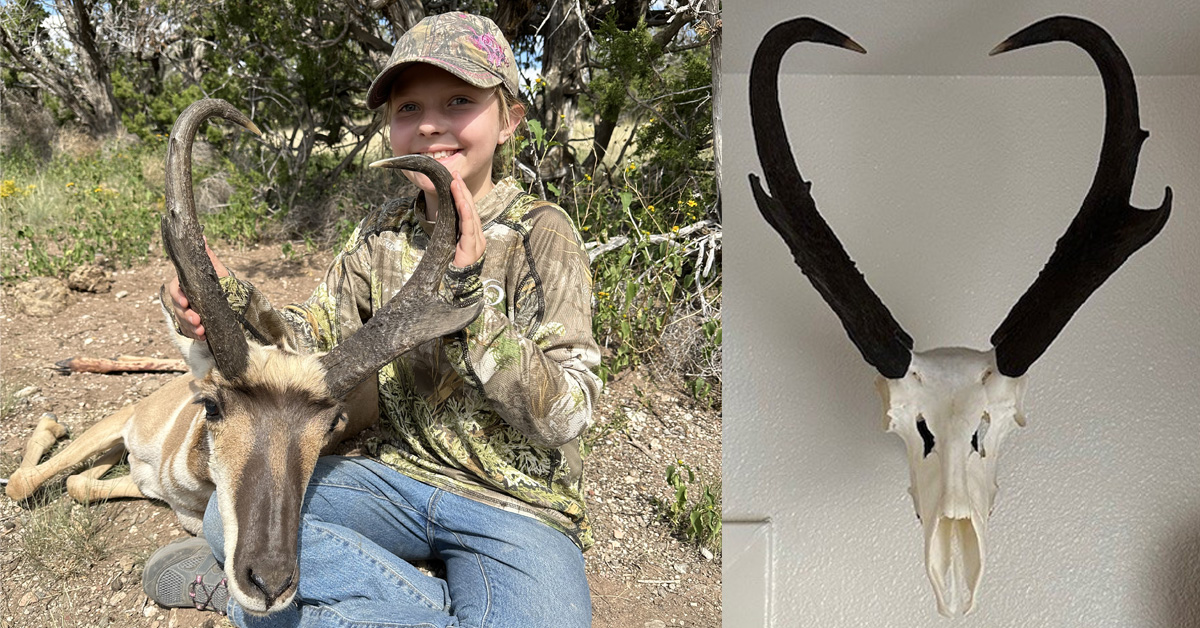 Beck Pronghorn 