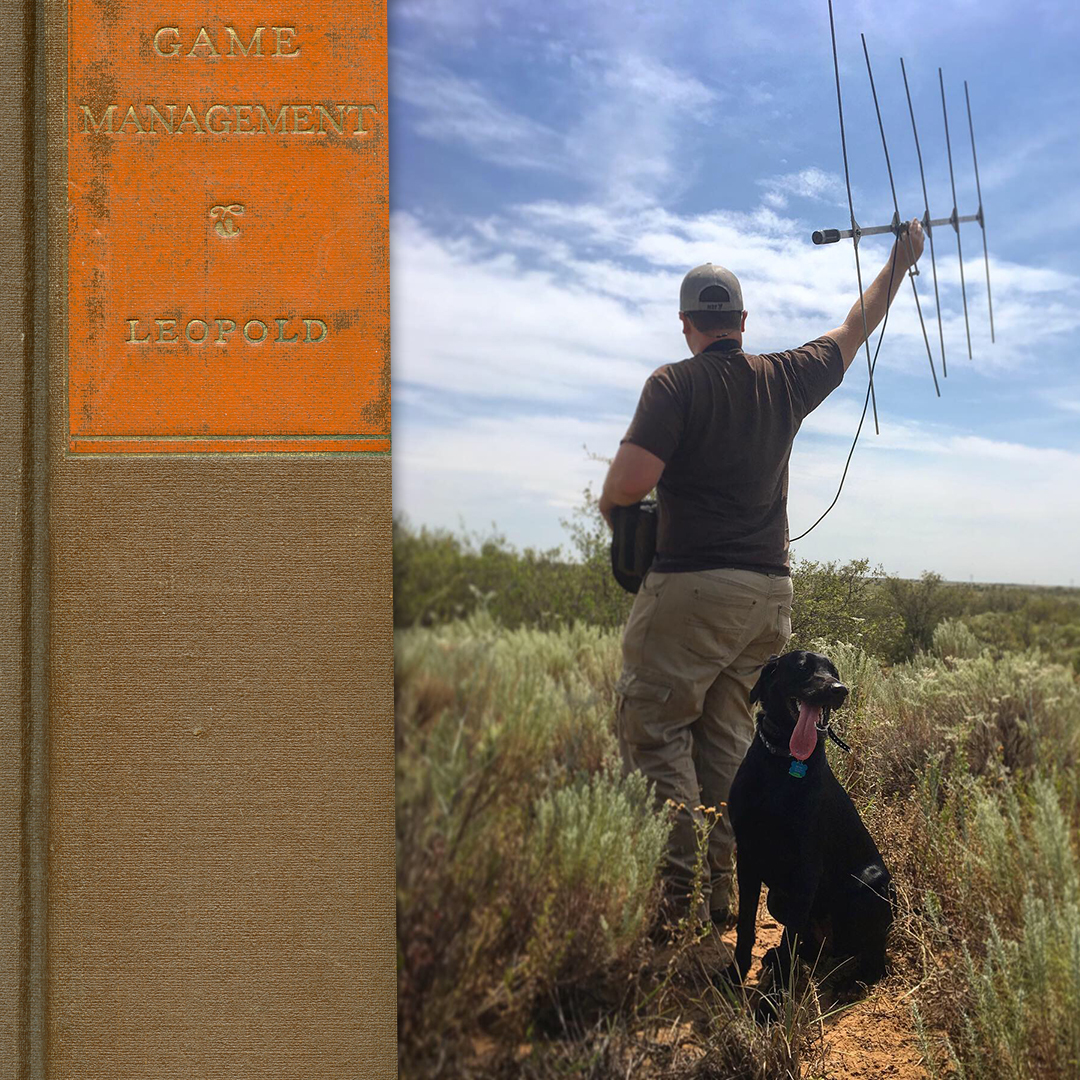 book spine and radio collar tracking