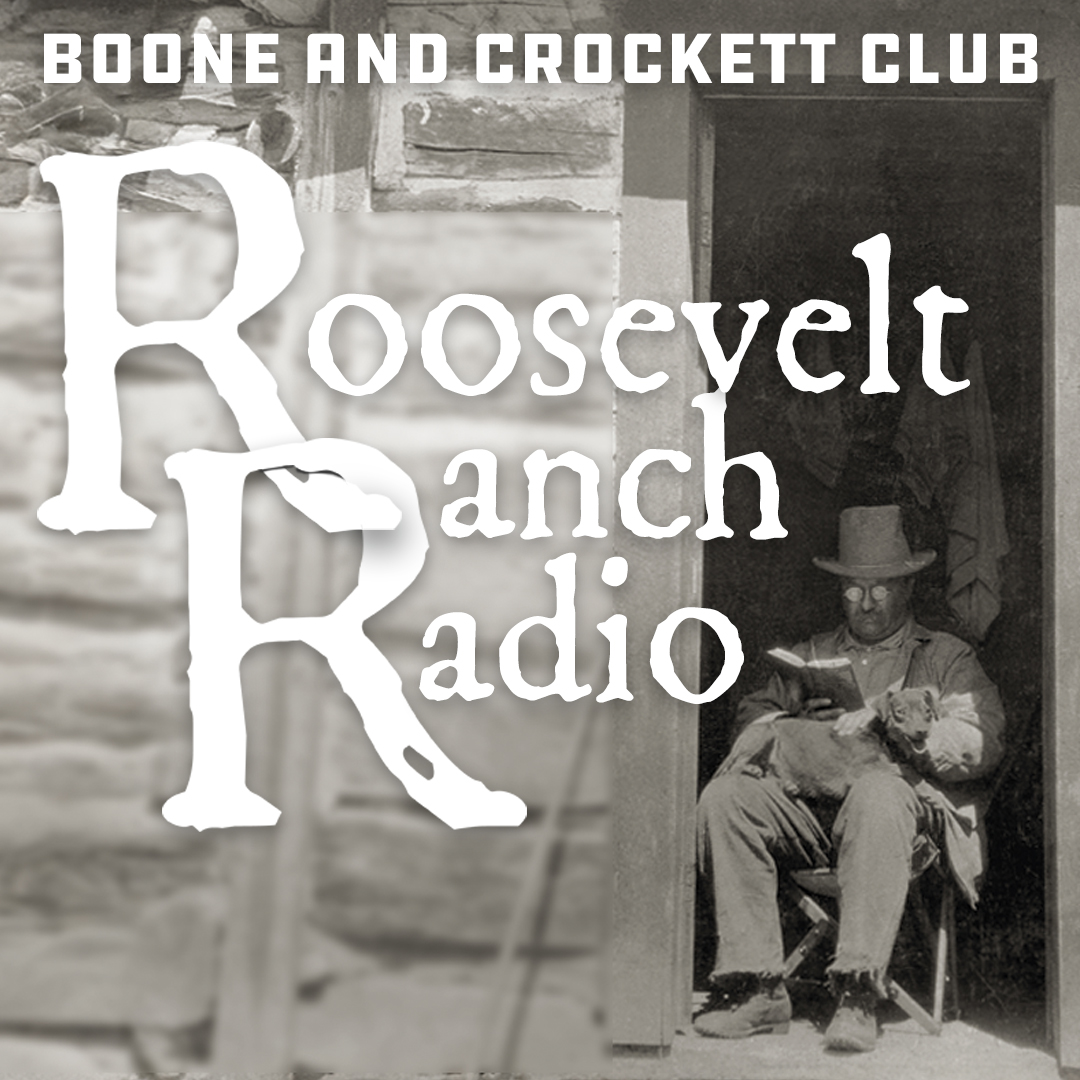Theodore Roosevelt sitting in chair reading