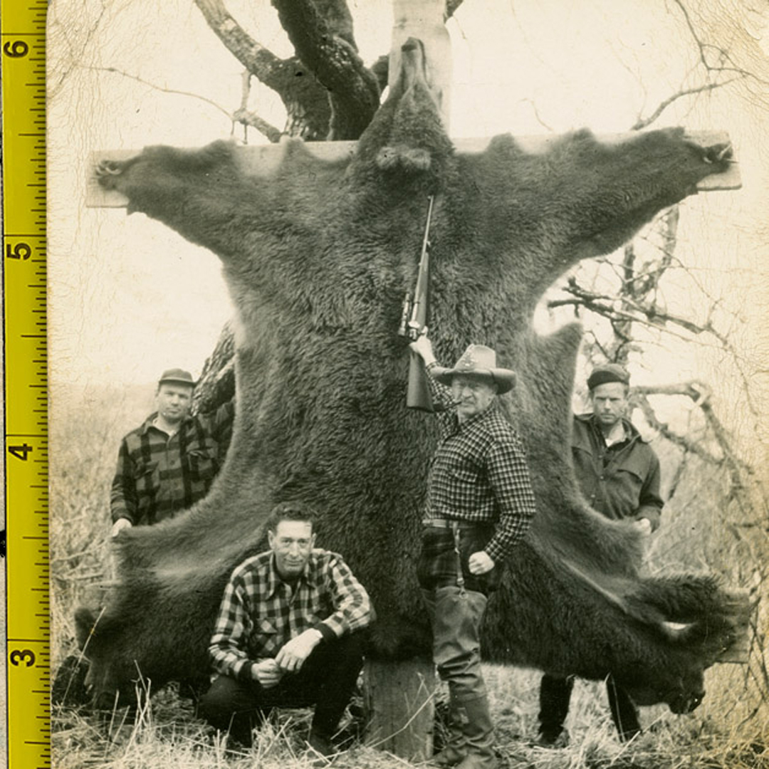 vintage bear hunting photo