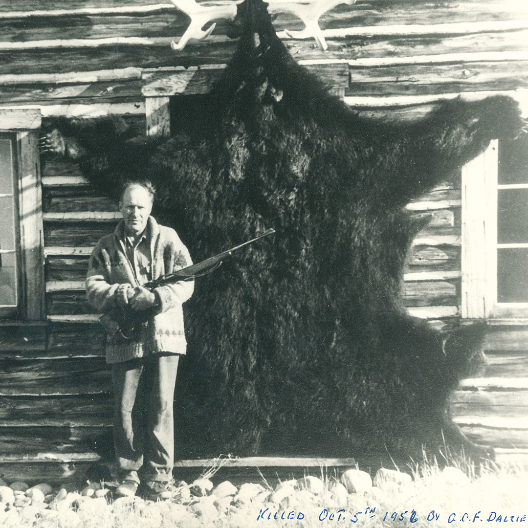 vintage bear hunting photo