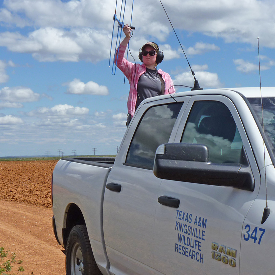 radio collar tracking
