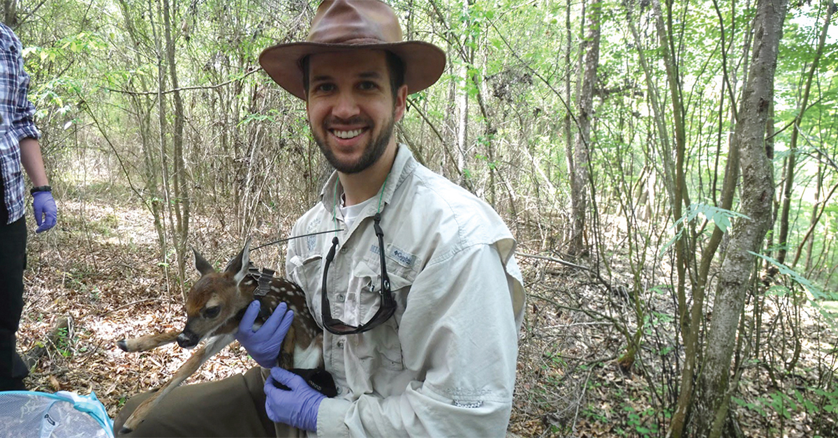 Clemson Fellow research