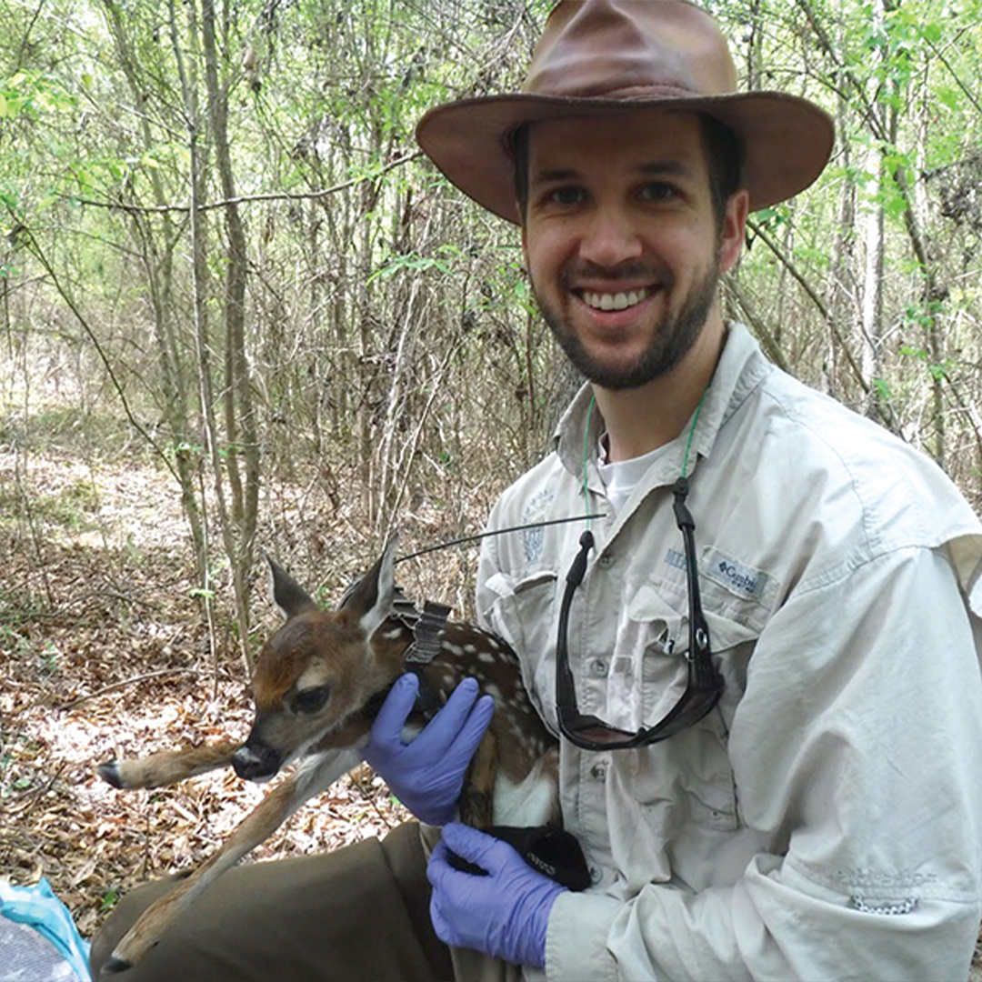 Clemson Fellow research