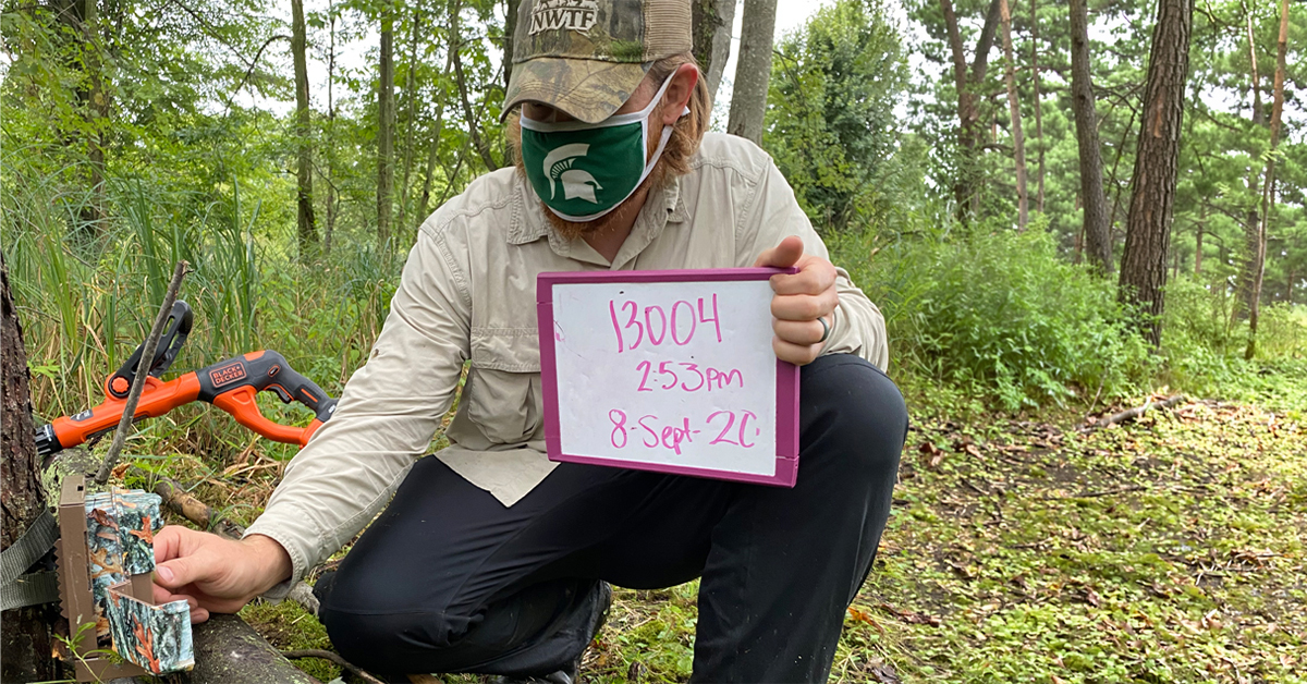 Michigan State research